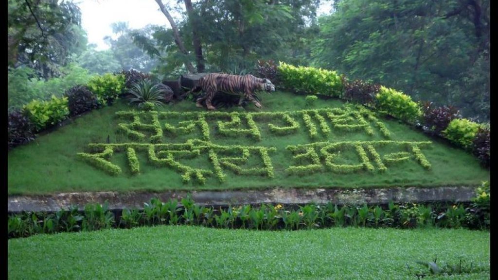 A grass cut calligraphy of Sanjay Gandhi National Park